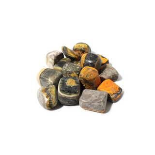 Bumble Bee Jasper Tumbled Stones from Stonebridge Imports
