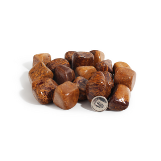 Calligraphy Jasper (Miriam Stone) Tumbled Stones