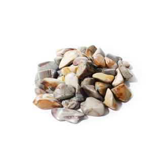 Polychrome Jasper Tumbled Stones Medium from Stonebridge Imports