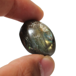 Labradorite A Tumbled Stones - India from Stonebridge Imports