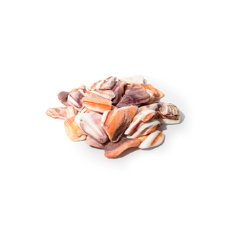 Mano De Lion Orange Shell Tumbled Stones Small from Stonebridge Imports