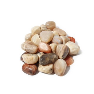 Multicolour Moonstone Tumbled Stones Medium from Stonebridge Imports
