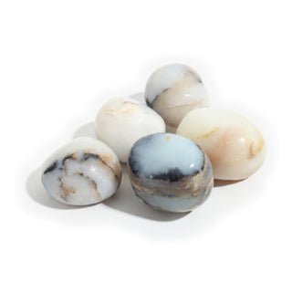 Large — Blue Opal Tumbled Stones, five milky white to pale sky-blue stones with black dendrite veins and soft peach patches, photographed on a clean white background. Stonebridge Imports.