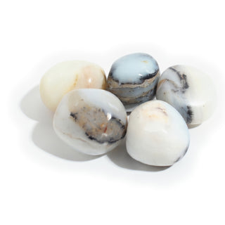 Large — Blue Opal Tumbled Stones, five polished milky white and pale blue stones with dark banded veining, seen close up, photographed on a clean white background. Stonebridge Imports.