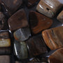Agatized Wood Tumbled Stones (Petrified Woods) from Stonebridge Imports