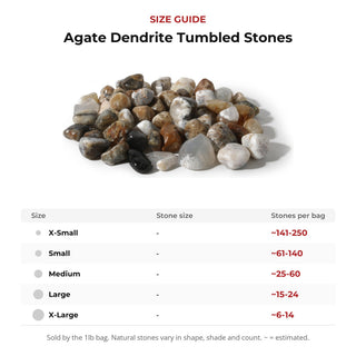 Agate Dendrite Tumbled Stones from Stonebridge Imports