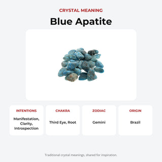 Apatite Blue Tumbled Stones from Stonebridge Imports