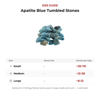 Apatite Blue Tumbled Stones from Stonebridge Imports