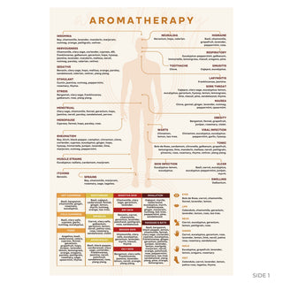 Aromatherapy guide front: body outline chart of oils by use, with skin type and application boxes
