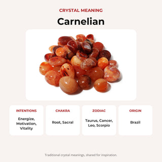 Carnelian Light Tumbled Stones - South Africa from Stonebridge Imports