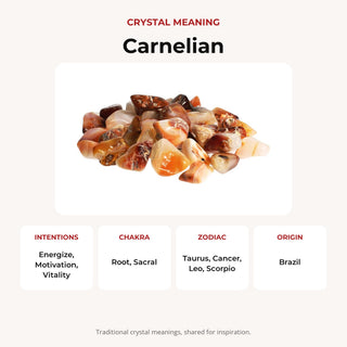 Carnelian E Tumbled Stones - Brazil crystal meaning: intentions, chakras, zodiac and origin