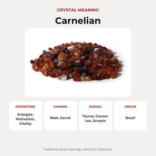 Carnelian Red Agate Tumbled Stones - Mini from Stonebridge Imports