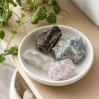 Carnelian, Super 7, Kyanite Rough/Tumbled Stones - Hamilton Collection 025 in a stoneware dish on a shop shelf