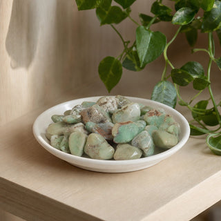 Chrysoprase A Tumbled Stones - Semi-Polished - Brazil in a stoneware dish on a shop shelf