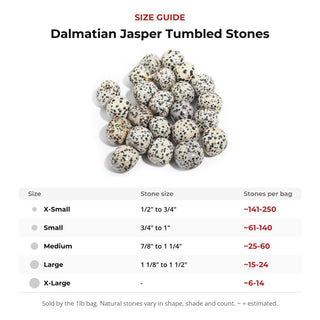 Dalmatian Jasper Tumbled Stones from Stonebridge Imports