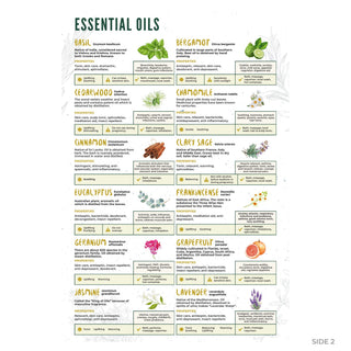 Essential oils guide back: 12 illustrated oil profiles from basil and bergamot to jasmine and lavender