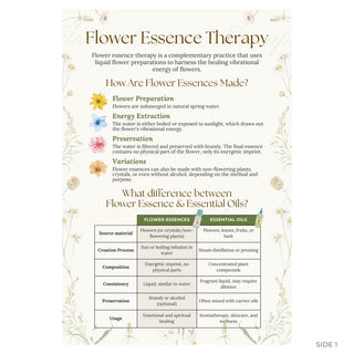 Flower essence guide front: four steps to making flower essences and a table comparing them to essential oils