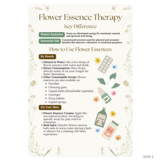 Flower essence guide back: key difference from essential oils and how to use essences by mouth and on skin
