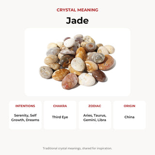 Fossil Jade Tumbled Stones from Stonebridge Imports