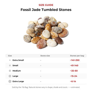 Fossil Jade Tumbled Stones from Stonebridge Imports