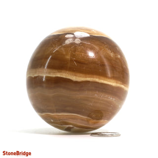 Golden Calcite Sphere from Stonebridge Imports