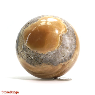 Golden Calcite Sphere from Stonebridge Imports