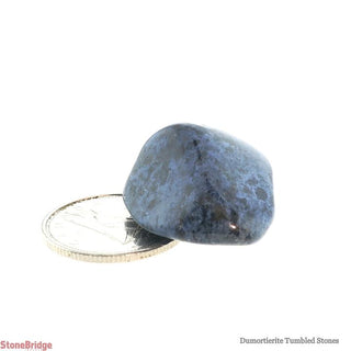 Dumortierite Tumbled Stones    from Stonebridge Imports