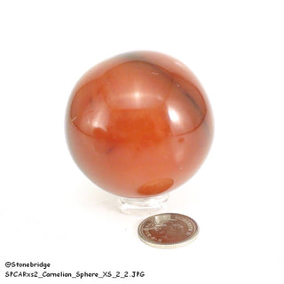 Carnelian Sphere Extra Small #2 - 1 3/4" from Stonebridge Imports