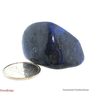 Dumortierite Tumbled Stones    from Stonebridge Imports