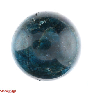 Blue Apatite Sphere Small #1 - 2 1/4" from Stonebridge Imports