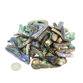 Abalone Shell Rim Tumbled Stones    from Stonebridge Imports