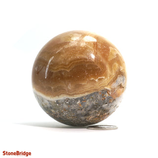 Golden Calcite Sphere from Stonebridge Imports