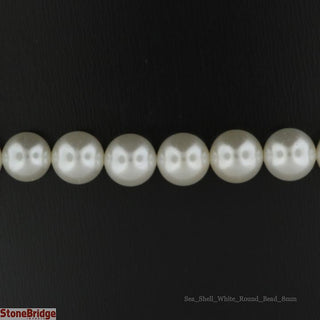 Shell Bead Strand 15" - 8mm from Stonebridge Imports