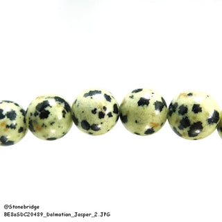 Dalmatian Jasper Bead Strand from Stonebridge Imports