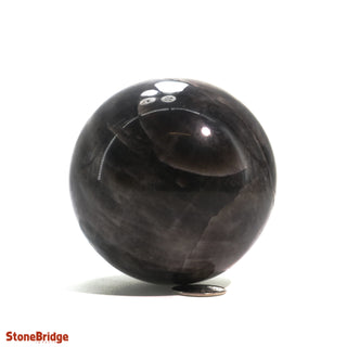 Smoky Quartz Dark Sphere Medium #2 - 2 3/4" from Stonebridge Imports