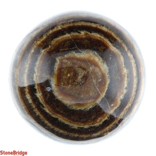 Aragonite Brown Sphere from Stonebridge Imports