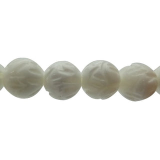 Tridacna Clam - Round Strand 7" - 8mm from Stonebridge Imports