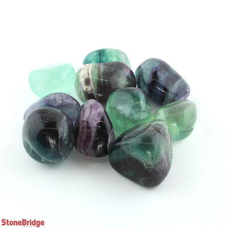 Fluorite Green & Purple Tumbled Stones    from Stonebridge Imports