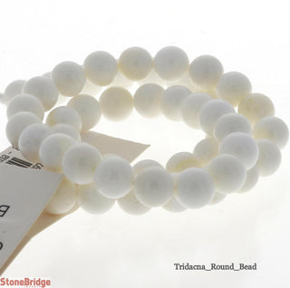 Tridacna Bead Strand 15" - 8mm from Stonebridge Imports