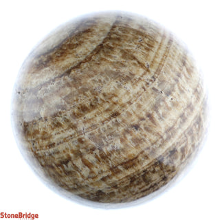 Aragonite Brown Sphere Small #1 - 2 1/4" from Stonebridge Imports