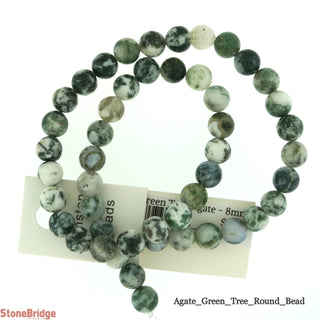 Green Tree Agate Bead Strand 15" - 8mm from Stonebridge Imports