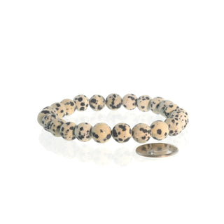 Dalmatian Jasper bead bracelet on a white background