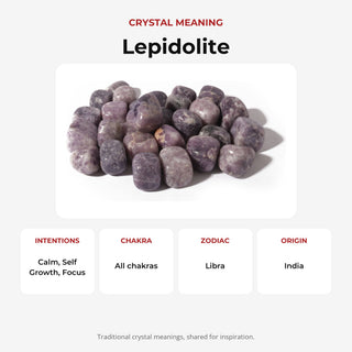 Lepidolite Tumbled Stone 'B' (India) - 1lb bag crystal meaning: intentions, chakras, zodiac and origin