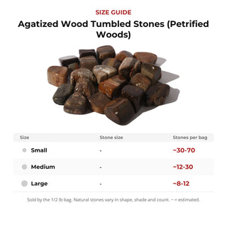 Agatized Wood Tumbled Stones (Petrified Woods) from Stonebridge Imports