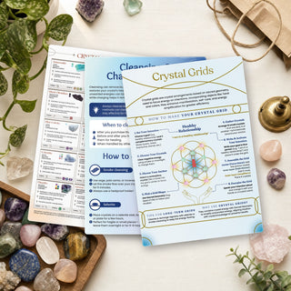 Crystal Shop Essentials QuickStudy guides on a shop counter