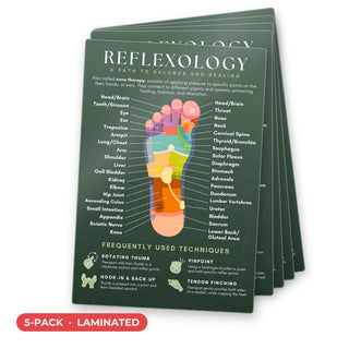 Reflexology QuickStudy Guide laminated 5-pack, double-sided 160 x 240 mm