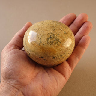 Round Trinket Box 3" - held in one hand for scale