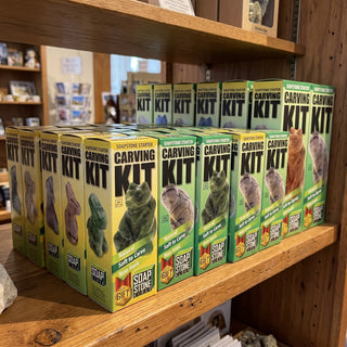 Beginner Animal Carving Kit - on a gift-shop shelf