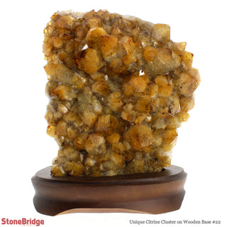 Citrine Cluster on Wood Base U#22 - 8 1/2"    from Stonebridge Imports