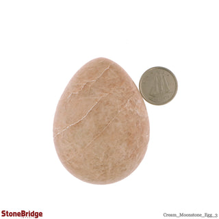 Cream Moonstone Egg #3 - 2" to 2 1/4"    from Stonebridge Imports